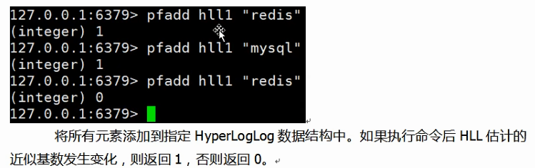 'image-20220730163156424'