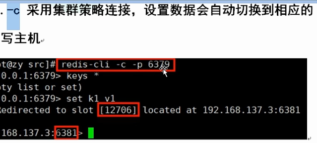 'image-20220801191556556'