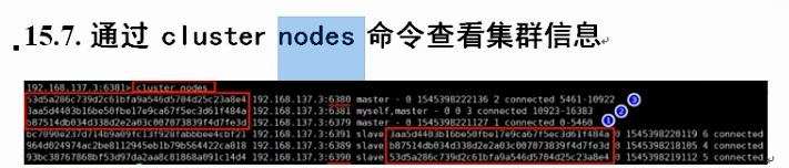 'image-20220801191722237'