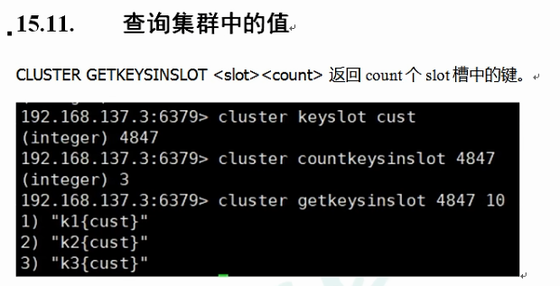 'image-20220801193416556'